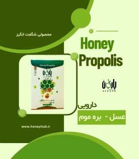 Мед-Прополис