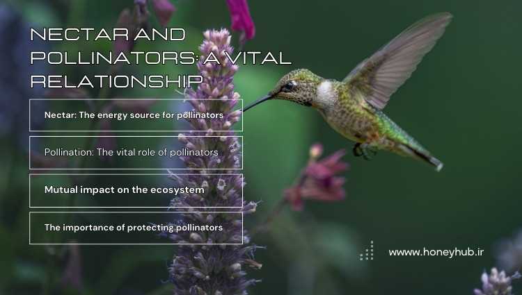 An infographic titled "Nectar and Pollinators: A Vital Relationship" features an image of a hummingbird drinking nectar from a flower. The image also includes charts and icons related to pollination and the ecosystem.