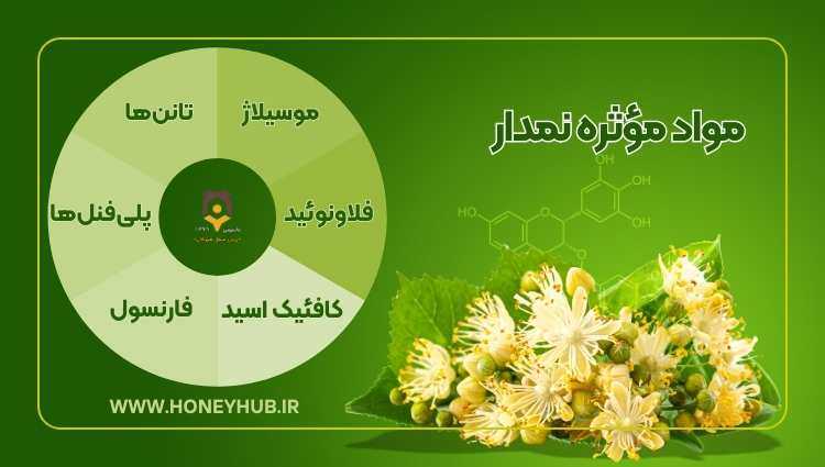 Активные ингредиенты листьев липы включают слизь, дубильные вещества, флавоноиды, кофеиновую кислоту, фарнезол и многое другое.