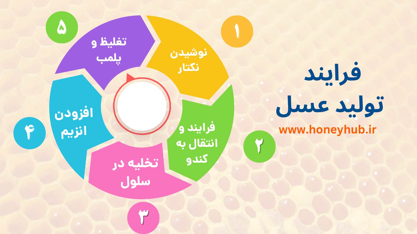 Процесс производства натурального меда от цветка до улья