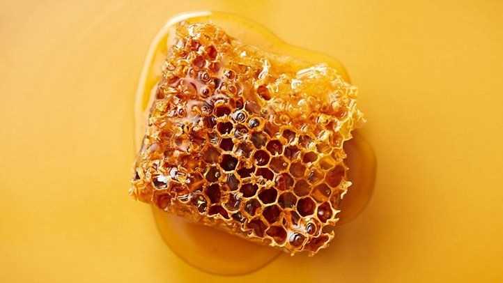 honey comb honey waxy comb