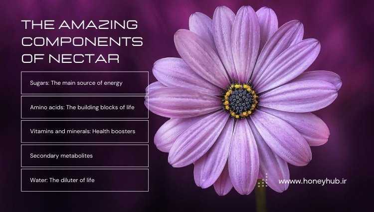 The infographic image illustrates the components of nectar.