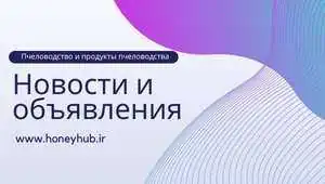 Новости и объявления Новости и объявления