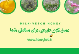 عسل گون طبیعی برای سلامتی شما عسل گون طبیعی برای سلامتی شما