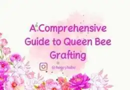 Complete Guide to Queen Bee Grafting: Boost Your Beekeeping Success