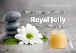 Royal jelly: Properties, benefits and side effects
