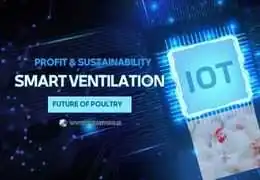 Умная вентиляция в птицеводстве: экспертное руководство Умная вентиляция в птицеводстве: экспертное руководство