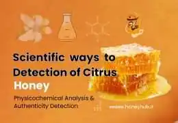 Comprehensive Review of Citrus Honey: Properties, Challenges, and Authenticity Detection Methods