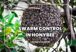 Swarming in Honeybee Colonies: Causes, Signs, Prevention, and Management