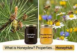 Honeydew: A Natural Food Source for Bees and Its Amazing Properties