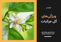 شهد و گرده مرکبات