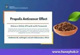 Propolis and Cancer: Nature's Secret Weapon in Integrative Oncology Propolis and Cancer: Nature's Secret Weapon in Integrative Oncology