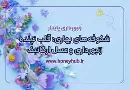 شکوفه‌های بهاری: قلب تپنده زنبورداری و عسل ارگانیک