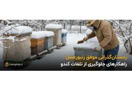 Успешная зимовка пчел: 15 научных стратегий предотвращения потери ульев в холодный сезон