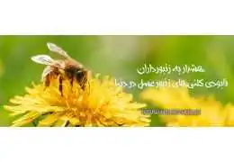 Deformed Wing Virus (DWV): A Modern Global Crisis for Honeybees Deformed Wing Virus (DWV): A Modern Global Crisis for Honeybees