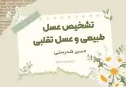 راهنمای جامع تشخیص عسل طبیعی از تقلبی: روش‌های خانگی و آزمایشگاهی