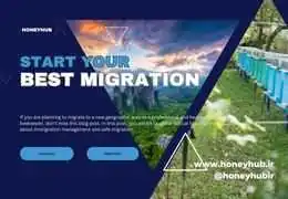 مهاجرت موفق در زنبورداری | راهنمای کامل کوچ زنبورداری