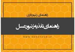 Nourishing Our Bees: Exploring Supplemental Feeding and Hive Supplements for Optimal Nutrition