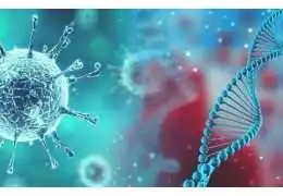 محصولات زنبور عسل راهبردی امیدوارکننده در درمان بیماری کووید 19 محصولات زنبور عسل راهبردی امیدوارکننده در درمان بیماری کووید 19