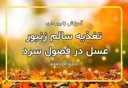 اهمیت تغذیه سالم در فصول سرد سال و تاثیر آن بر توسعه زنبور عسل