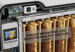 Роботизированное пчеловодство: спасет ли умная технология пчел? Роботизированное пчеловодство: спасет ли умная технология пчел?
