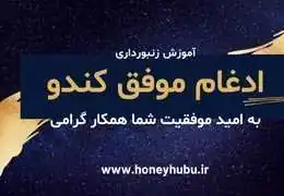 ادغام موفق کندوها