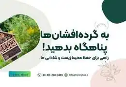 هتل زنبور عسل: راهنمای ساخت، نگهداری و جذب گرده افشان‌های بومی