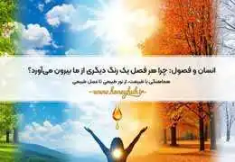 انسان و فصل‌ها: تأثیر تغییر فصول بر سلامت، روان و سبک زندگی طبیعی