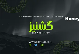 عسل گشنیز: گنجینه طبیعی درمان یبوست، نفخ و تقویت گوارش عسل گشنیز: گنجینه طبیعی درمان یبوست، نفخ و تقویت گوارش