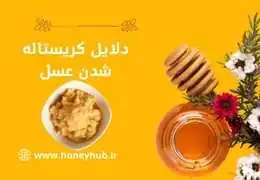 شکرک زدن عسل؛ چرا عسل طبیعی رس میبندد و چگونه آن را رفع کنیم؟ شکرک زدن عسل؛ چرا عسل طبیعی رس میبندد و چگونه آن را رفع کنیم؟