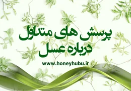 همه چیزی که باید درباره عسل بدانید