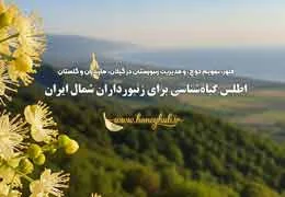 اطلس جامع گیاه‌شناسی برای زنبورداران شمال ایران: راهنمای کامل فلور، کوچ و مدیریت زنبورستان