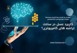 چگونه عسل آینده تراشه های کامپیوتری را می سازد؟ | راهنمای جامع چگونه عسل آینده تراشه های کامپیوتری را می سازد؟ | راهنمای جامع