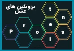 پروتئینهای عسل: از ترکیبات و عملکرد تا کاربرد درمانی و تضمین کیفیت پروتئینهای عسل: از ترکیبات و عملکرد تا کاربرد درمانی و تضمین کیفیت