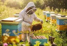افزایش تولید عسل: راهنمای کامل برای زنبورداری حرفهای افزایش تولید عسل: راهنمای کامل برای زنبورداری حرفهای
