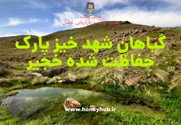 گونه های شهدزای پارک خجیر گونه های شهدزای پارک خجیر