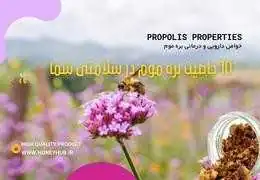 10 مزیت برتر بره موم در سلامتی 10 مزیت برتر بره موم در سلامتی