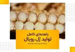 راهنمای کامل تولید ژل رویال