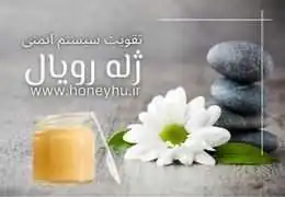 ژل رویال: خواص، مزایا و عوارض جانبی ژل رویال: خواص، مزایا و عوارض جانبی