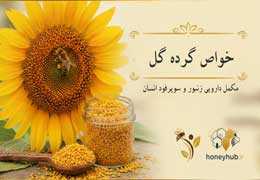خواص گرده گل آفتابگردان؛ مکمل دارویی زنبور و سوپرفود انسان