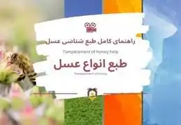 Темперамент мёда: Руководство по выбору мёда для вашего типа Темперамент мёда: Руководство по выбору мёда для вашего типа