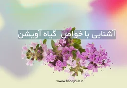 Тимьян: Полное руководство по истории, целебным свойствам и применению Тимьян: Полное руководство по истории, целебным свойствам и применению