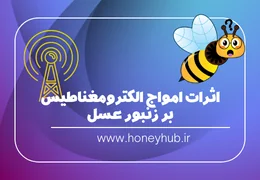 اثرات امواج الکترومغناطیس بر زنبورهای عسل اثرات امواج الکترومغناطیس بر زنبورهای عسل