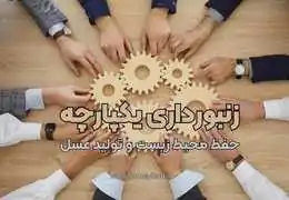 زنبورداری پایدار: چگونه زنبورها را نجات دهیم و عسل بیشتری تولید کنیم