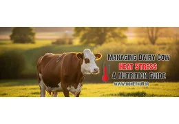 Comprehensive Nutritional Strategies to Manage Heat Stress in Dairy Cows