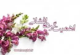 اهمیت گرده افشان ها برای غذا و کشاورزی