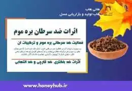 بره موم و سرطان: آیا گنجینه کندو میتواند در درمان سرطان موثر باشد؟ بره موم و سرطان: آیا گنجینه کندو میتواند در درمان سرطان موثر باشد؟
