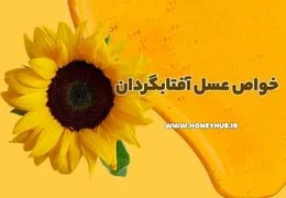 عسل آفتابگردان: خواص، فواید و راهنمای کامل از یک متخصص
