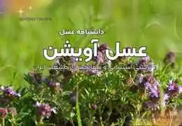 خواص و فواید عسل آویشن