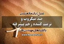 عسل یک ماده زیستی ارزشمند ضد میکروب و درمانگر زخم عسل یک ماده زیستی ارزشمند ضد میکروب و درمانگر زخم